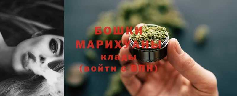 купить закладку  Людиново  МАРИХУАНА SATIVA & INDICA 